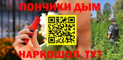 индика Кингисепп