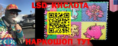 индика Кингисепп
