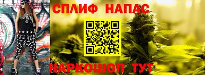 тгк Кимры