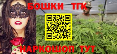 индика Кингисепп