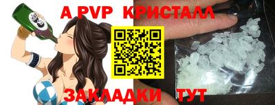 индика Кингисепп