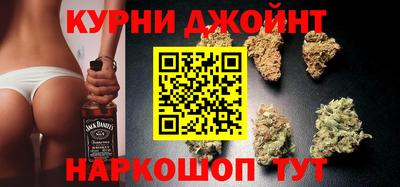индика Кингисепп