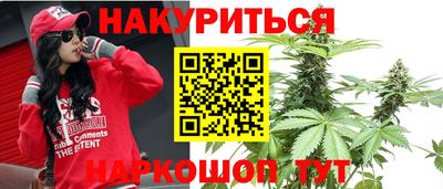 индика Кингисепп