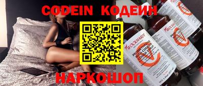 индика Кингисепп