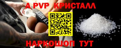 индика Кингисепп