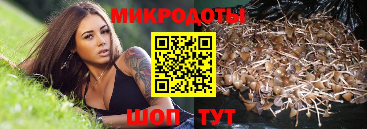 Галлюциногенные грибы мицелий  Вход с VPN  Кемерово 